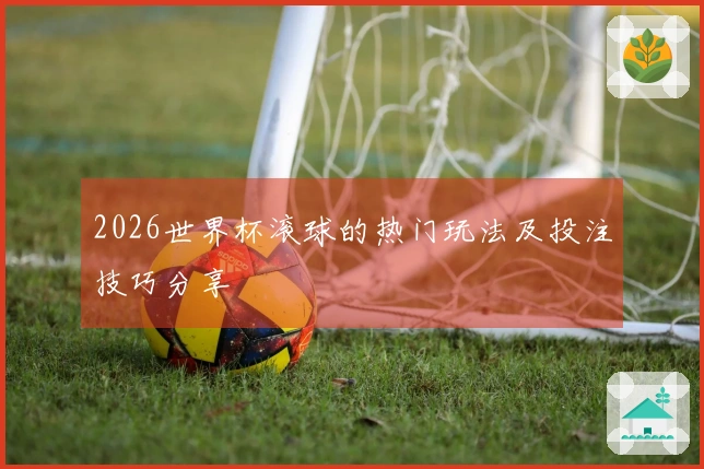 2026世界杯滚球的热门玩法及投注技巧分享
