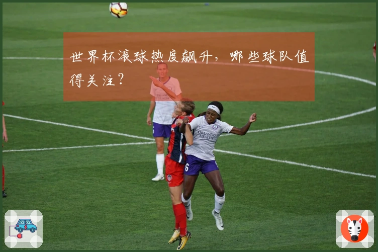 世界杯滚球热度飙升，哪些球队值得关注？