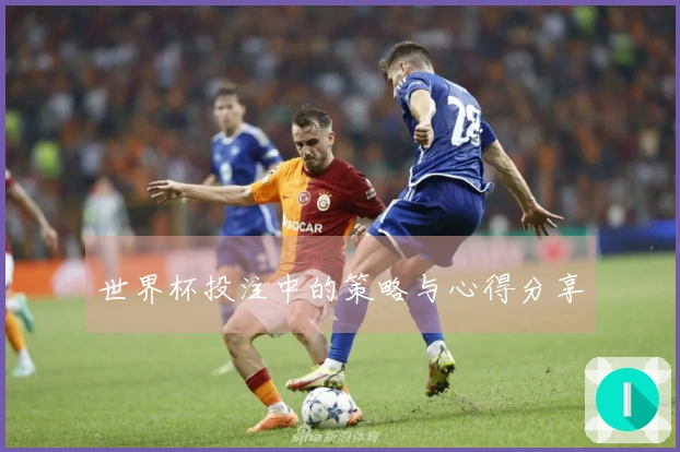 世界杯投注中的策略与心得分享