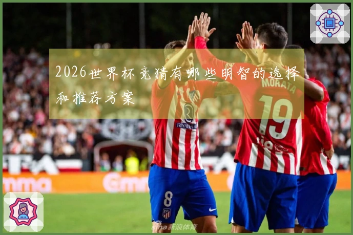 2026世界杯竞猜有哪些明智的选择和推荐方案