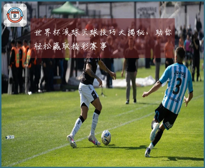 世界杯滚球买球技巧大揭秘，助你轻松赢取精彩赛事